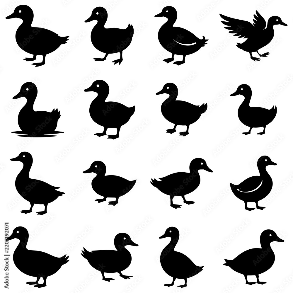 Fototapeta premium Duck Silhouette Clip Art