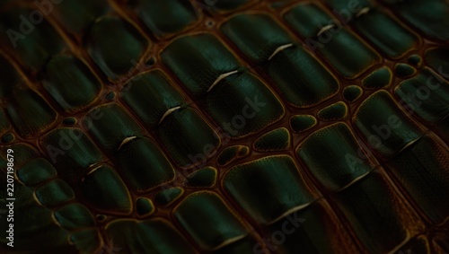 Detailed View of Intricate Reptilian Scutes with Highlights