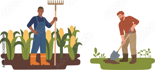  Male farmers working on farm vector illustration, harvesting corn crop and digging soil with shovel