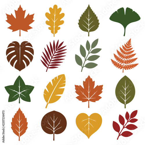 Autumn Leaf Collection Colorful Botanical Leaf Silhouettes