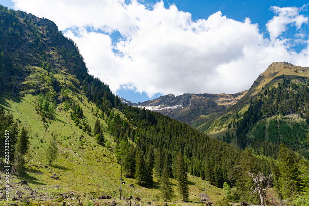 Obraz premium Scenery mountain landscape. Scenery autumn countryside. Mountain landscape with forest. Idyllic scenery. Dramatic cliffs. Nature of mixed forest. Landscape summer nature. Scenic landscape of woodland