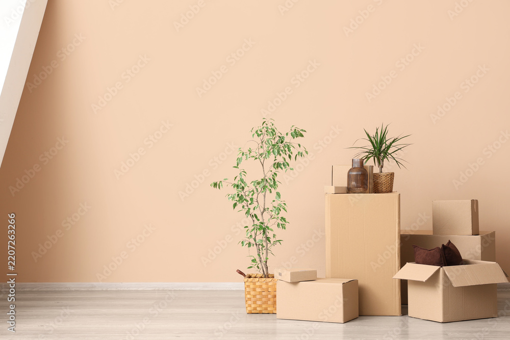 Fototapeta premium Moving house and relocation concept, cardboard boxes with household items and indoor plants in a new apartment with beige walls and wooden floor