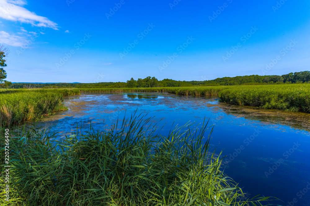 Obraz premium Calm blue river winding through green reeds and marshland under a clear summer sky