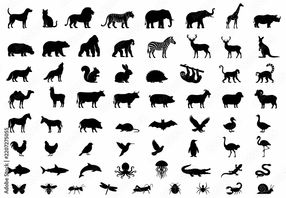 Fototapeta premium Diverse Animal Silhouette Collection with Mammals, Birds and Reptiles