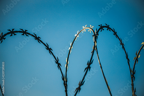 Curving strands of dark barbed wire silhouetted against a clear blue sky with overlapping loops and textured metal details, abstract outdoor barrier composition