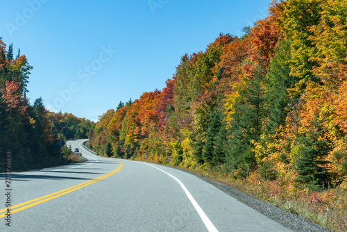Colorful Fall Foliage Along Highway 60 Through Algonquin Park