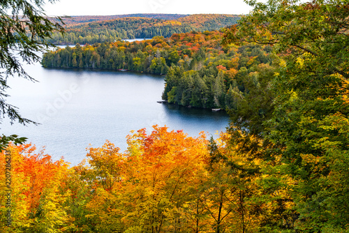 Lake Surrounded by Colorful Fall Colors