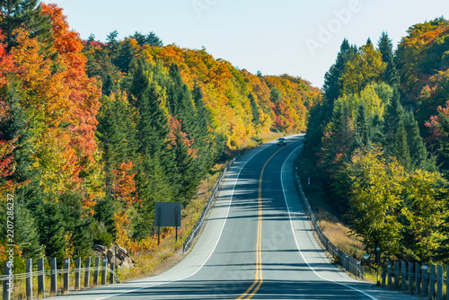 Colorful Fall Foliage Along Highway 60 Through Algonquin Park