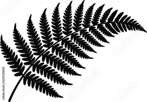 Fern leaf silhouette vector. Frond vector icon