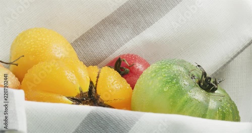 Yellow, green and red tomato in a white and gray kitchen towel. Tomatoes sprinkled with water. Healthy nutrition. Agricultural industry and farming.