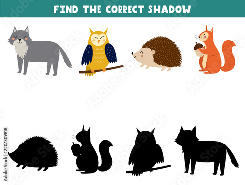 Match each woodland animal to its shadow in this fun printable game. Cute forest characters activity page for kids. Vector illustration