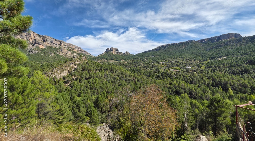 Fototapeta premium Panorámicas de Bosques de pinos de las Sierras de Albacete , España