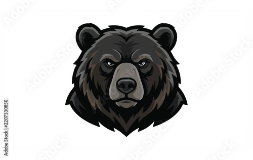 Black Bear Head Portrait Illustration.