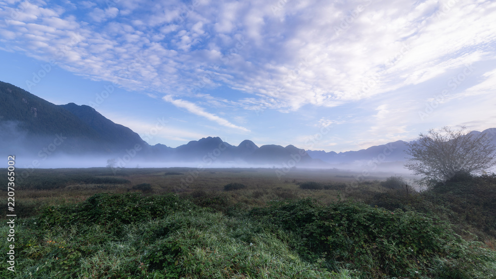 Fototapeta premium Misty Morning Landscapes in Pitt Meadows, British Columbia, Canada