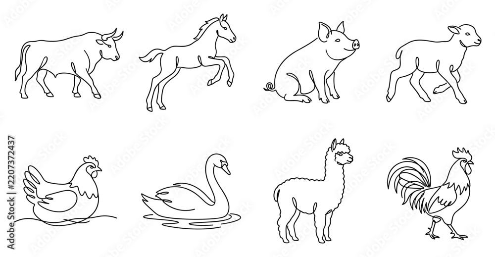 Fototapeta premium Hand drawn collection of farm animals and birds including a cow horse pig sheep chicken swan llama and rooster in outline sketch style.