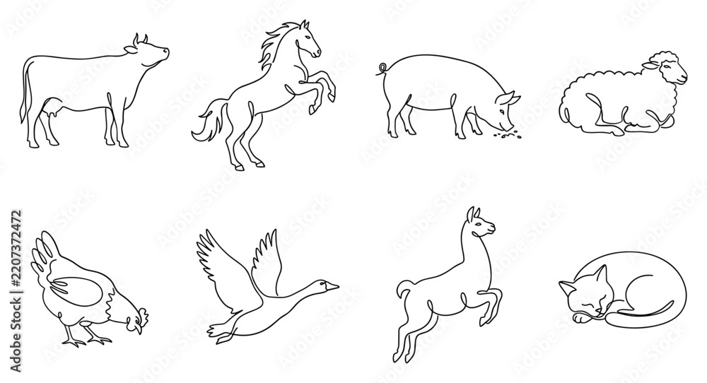 Obraz premium Line drawing illustrations of various farm animals and pets.