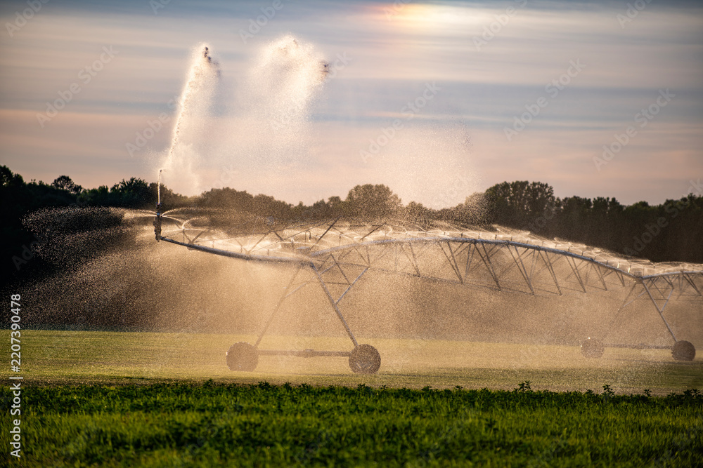 Fototapeta premium Watering field with pivot irrigation. Watering grass through sprinkler system. Watering meadow with water droplets. Watering background in summer.