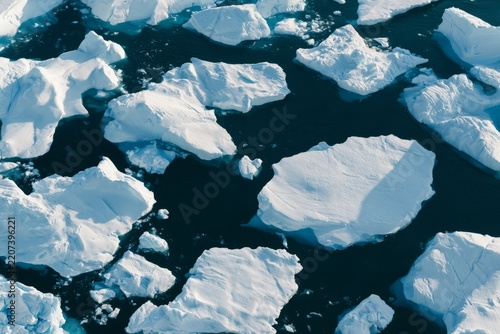 Ice floes scattered across a polar sea