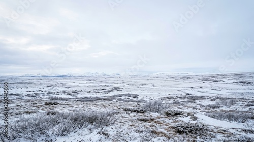 A wide, panoramic view of a bleak, snow-covered landscape. The foreground features low-lying, scrubby vegetation covered in snow.