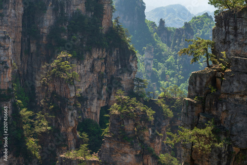 Obraz na plátně Sandstone pillars from the Shentang Gulf Observation Deck on Mount Tianzi in the