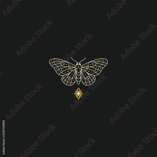 Butterfly logo design template vector illustration