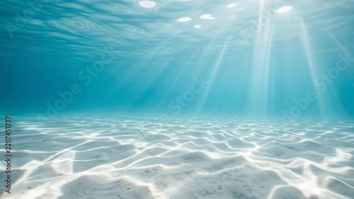 Marine Life in Natural Environment Underwater with Clear Water, Sunlight, Sandy Seabed, Ocean and Sea Habitat