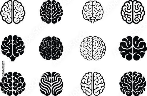 Collection of brain illustrations featuring symmetrical anatomical patterns, detailed cerebral structures, neuroscience concepts, medical education, and clean vector line art