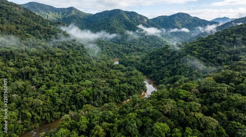 Aerial view of a winding river flowing through a lush green rainforest with misty mountains in the background