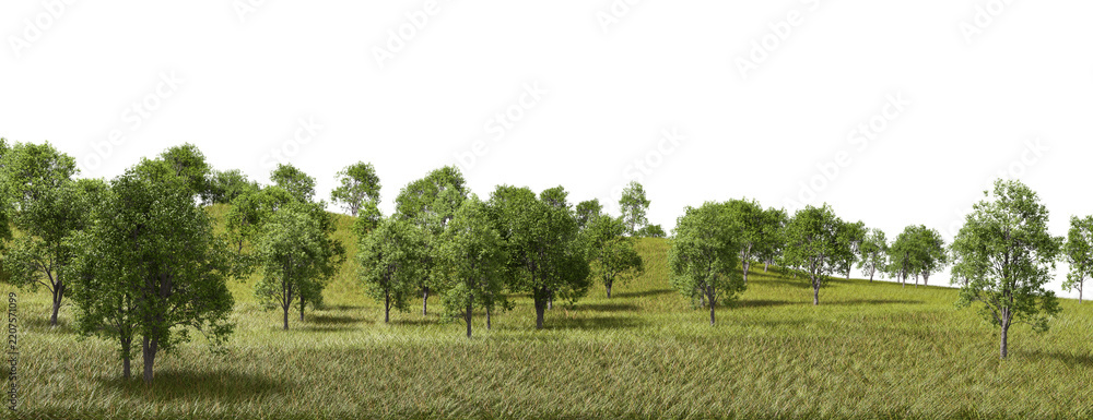Obraz premium Woodland terrain fields scenery on transparent background 3d rendering png
