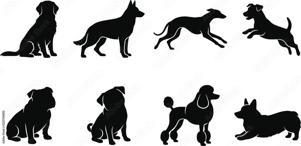 Obraz premium Dog Breeds Silhouette Collection - Vector Icons Of Golden Retriever Poodle Pug Corgi And German Shepherd For Graphic Design