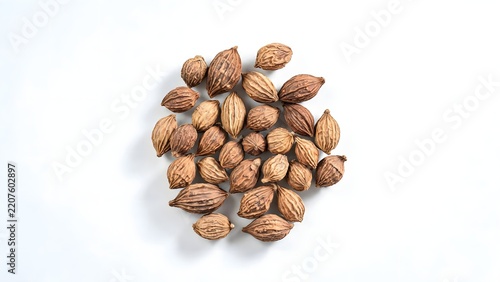 Dried seeds arranged on white background