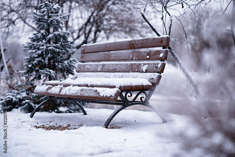Obraz premium park bench on a winter alley at snowfall. bench with snow after snowstorm or in snow calamity in europe