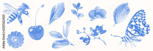 Blue cyanotype floral, bee and butterflies element asset pack. Stipple dot overlay texture. Delicate indigo blue nature shape for template and graphic design project.