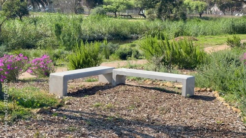 Two modern concrete benches arranged in an L-shape sit within a landscaped wetland or riverine park, surrounded by indigenous shrubs , rosemary-like shrubs, and blooming pink wildflowers