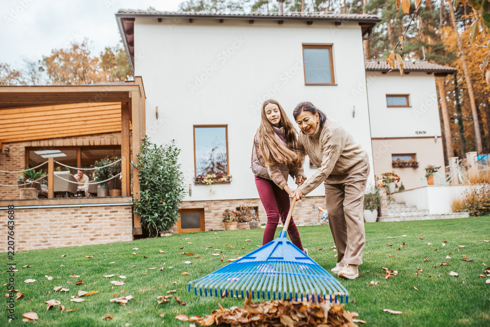 Obraz premium Raking autumn leaves in garden.