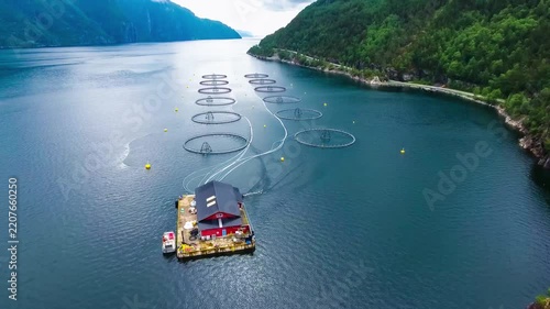 Aerial drone footage of aquaculture fish farm in a scenic Norwegian fjord with mountains and lush green forests.