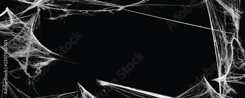 Spider web isolated on black grunge background. Cobweb frame. Halloween party design. Texture of spider web. Vector illustration	