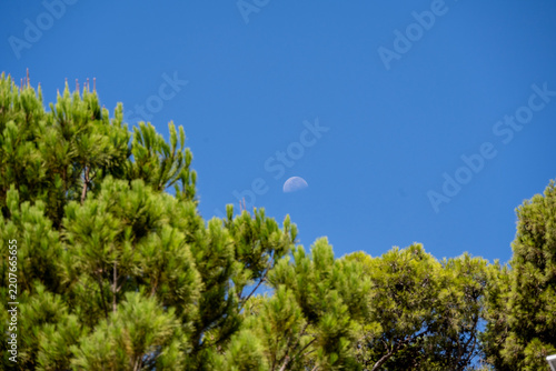 The moon in daylight against a blue sky and mountains in summer on the island of Crete