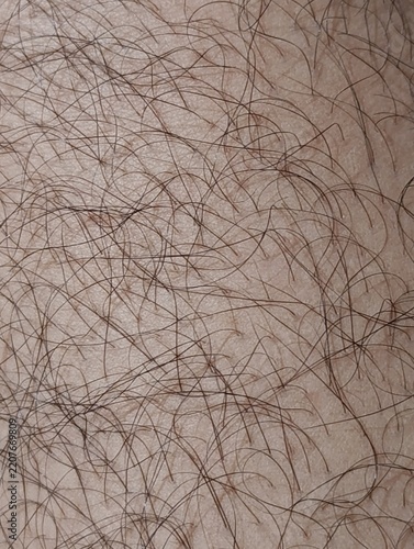 Macro shot of human leg hair. Fine, dark hairs cover the skin.
