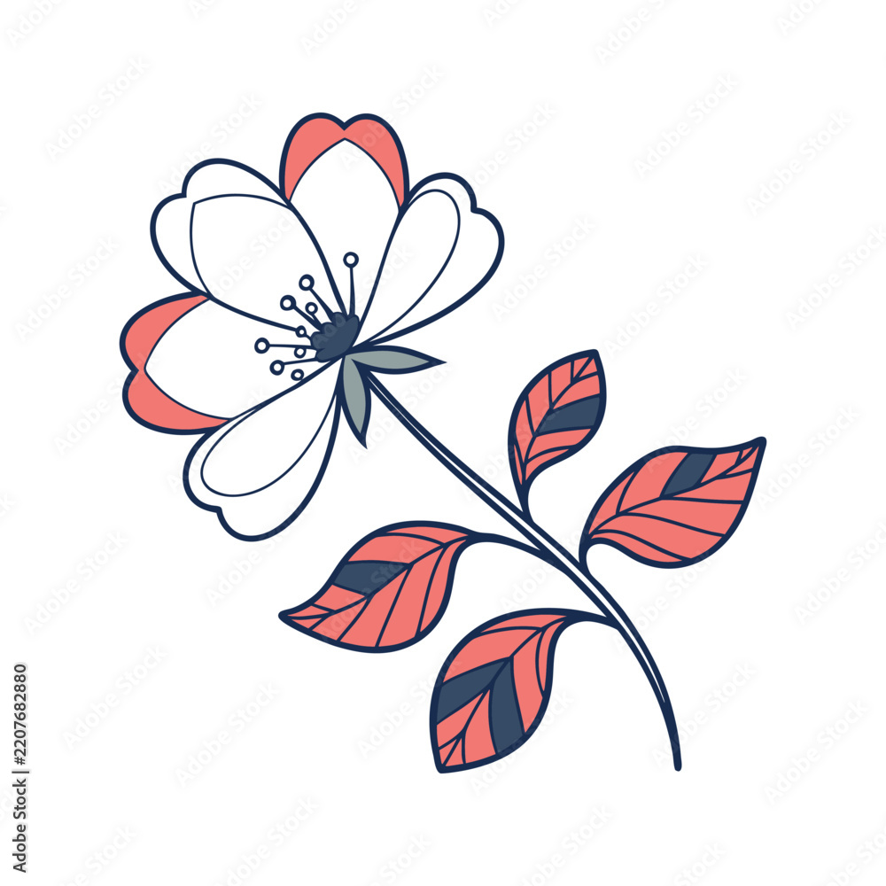 Fototapeta premium Delicate outline blossom with coral and navy leaves on a white background clean design for branding