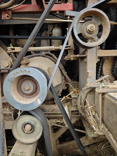 Agricultural Corn Harvesting Machine Working in a Cornfield