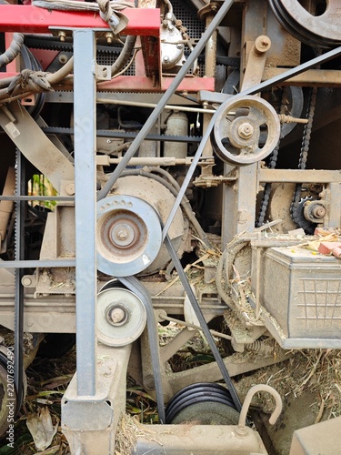 Agricultural Corn Harvesting Machine Working in a Cornfield