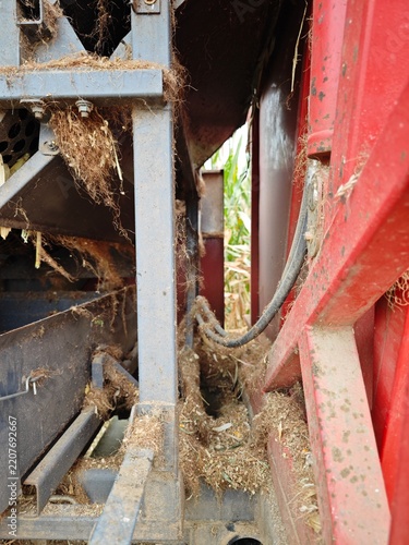 Agricultural Corn Harvesting Machine Working in a Cornfield