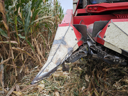 Agricultural Corn Harvesting Machine Working in a Cornfield