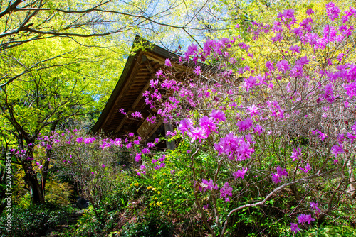春の風景