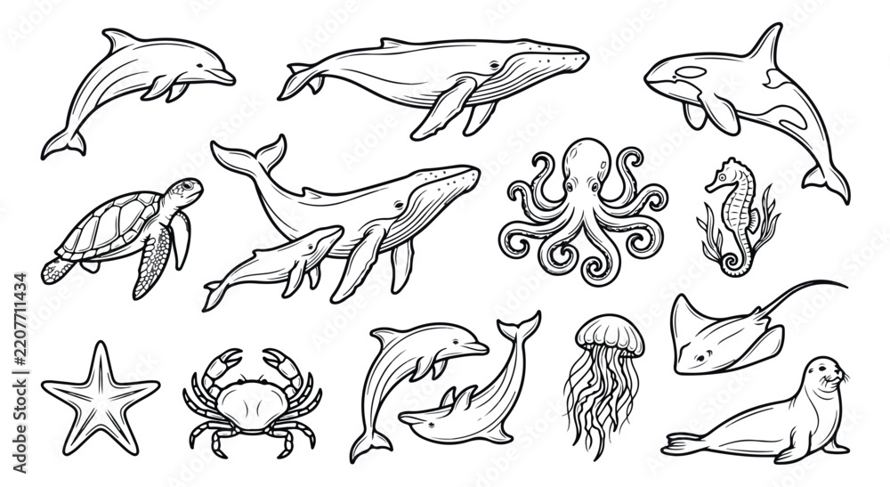 Obraz premium Sea Animals Line Art Vector Collection, Ocean Life Animals Coloring Page Clipart Set, Black and White Marine Wildlife Icon Illustrations