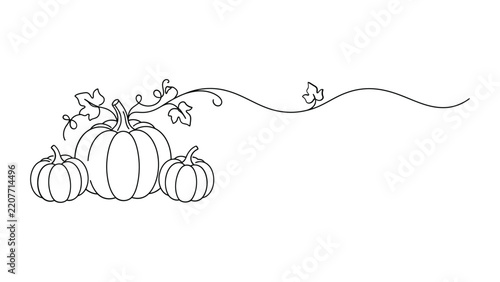 A single line drawing of three pumpkins arranged with decorative vines on a white background with illustration