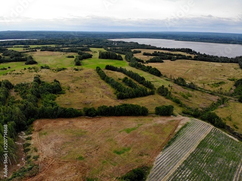 Agricultural landscape of fields and tree rows beside a lake
