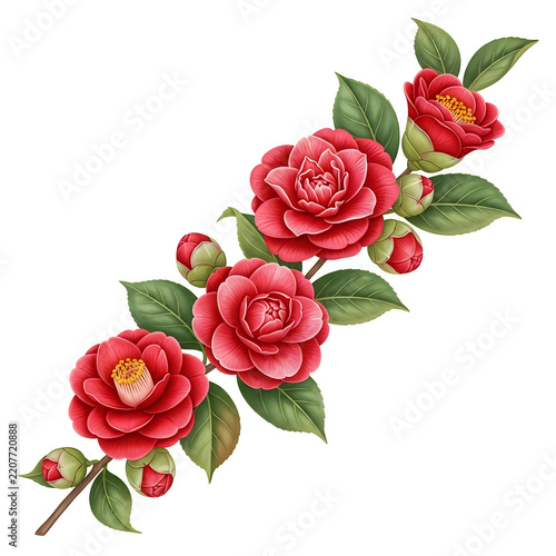 Beautiful red roses with green leaves illustration