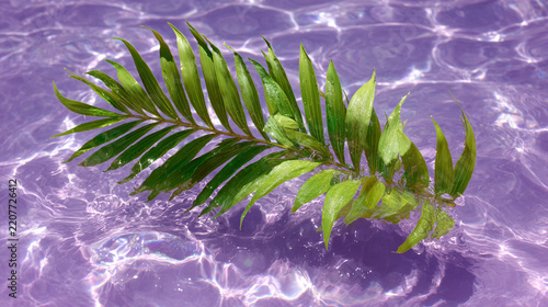 Green Palm Leaf Floating on Vibrant Purple Rippling Water Surface